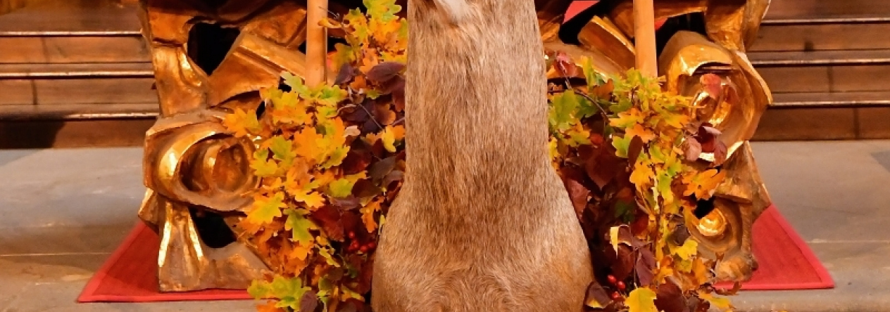 dsc_3412.jpg