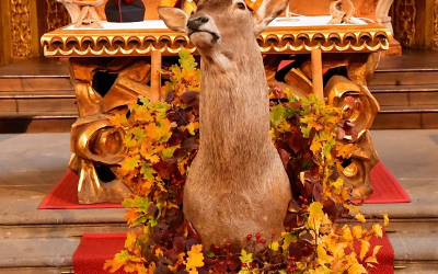 dsc_3412.jpg